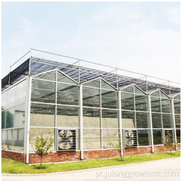 Greenhas de policarbonato de Venlo Multi-Span Commercial